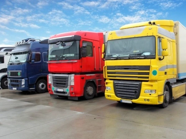 İzmir Torul Nakliye